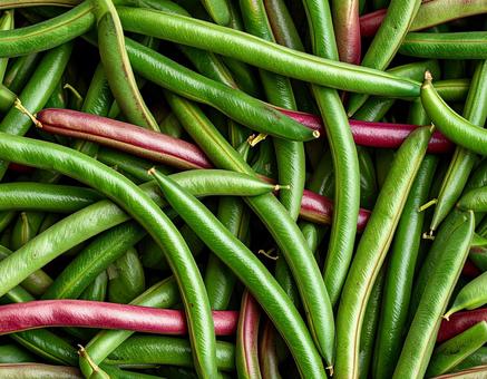 緑赤のインゲン豆の集まりの写真