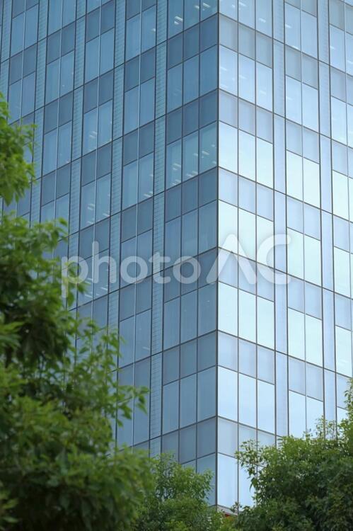 街路樹 街路樹,ビル,都市緑化の写真素材