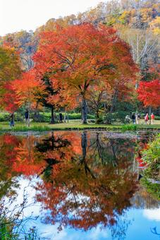 北海道の紅葉 北海道の紅葉の写真