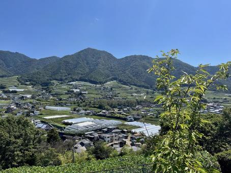 晩夏の山梨の風景7 晩夏の山梨の風景7 山梨県,笛吹,山の写真素材