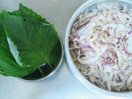 玉ねぎと大葉のサラダ 玉ねぎと大葉のサラダ おいしい,オニオン,キャベツの写真素材