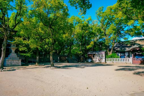 【兵庫】湊川神社 兵庫,神戸,湊川神社の写真素材