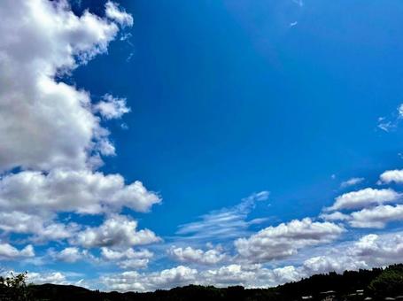 夏空 夏空の写真