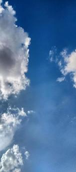 空202310031153 空202310031153の写真