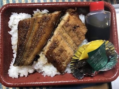 Photo, eel, box lunch, bento, 
