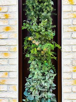 植物の壁面装飾 植物の壁面装飾 植物,壁,レンガの写真素材