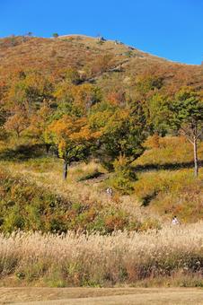 秋の深入山にレクリエーション-6 秋の深入山にレクリエーション-6 秋の山,ススキ,晩秋の写真素材