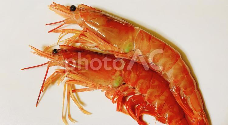 赤エビ　海老　素材　食材 赤海老,赤エビ,赤えびの写真素材
