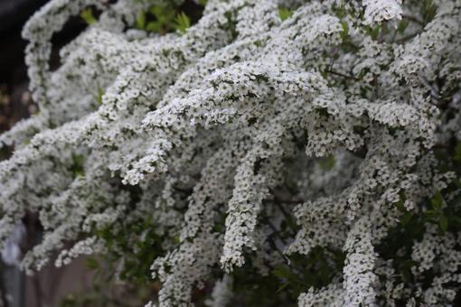 滝みたいの写真