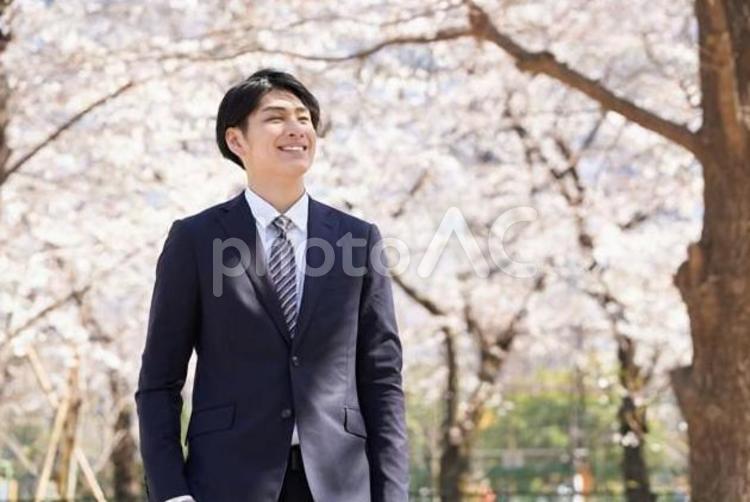 桜を背景に笑顔で立つ日本人ビジネスマン ビジネスマン,男性,笑顔の写真素材