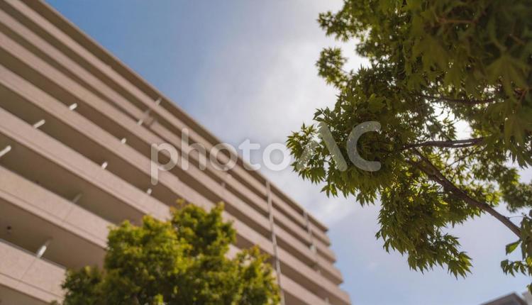 高層マンションを見上げる　青空背景 マンション,不動産,住宅の写真素材