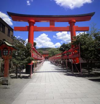 大鳥居のイメージ写真 大鳥居,神社,イメージの写真素材