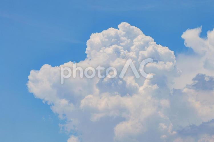 暑い晴れた日の沸き上がる入道雲 空,雲,青の写真素材
