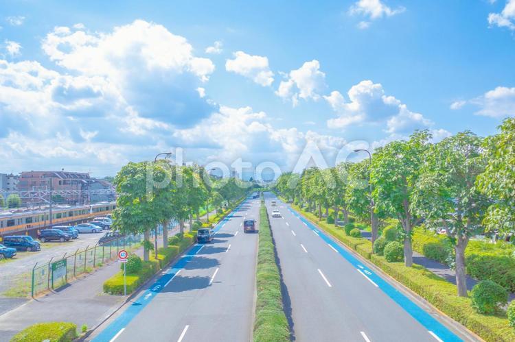 散歩の風景 街,風景,日常の写真素材