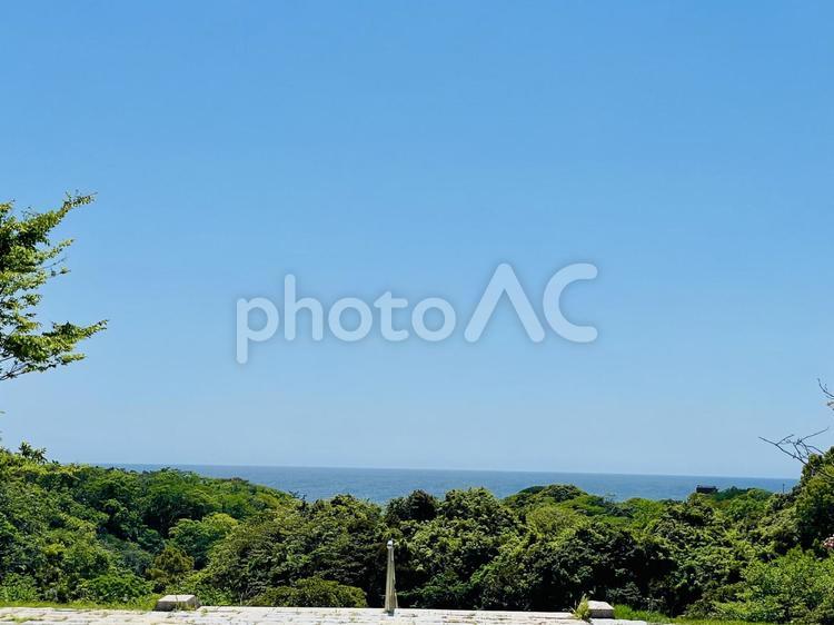 海を見下ろす公園 ツツジ,道路,道の写真素材