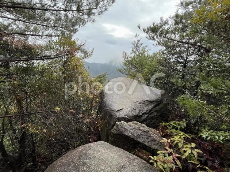 積み重なった岩と木々 宮島,山,自然の写真素材