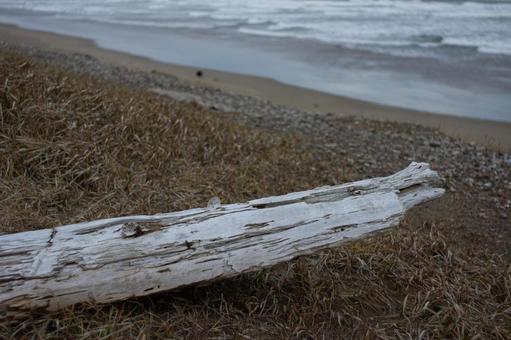 秋_海岸 秋_海岸の写真