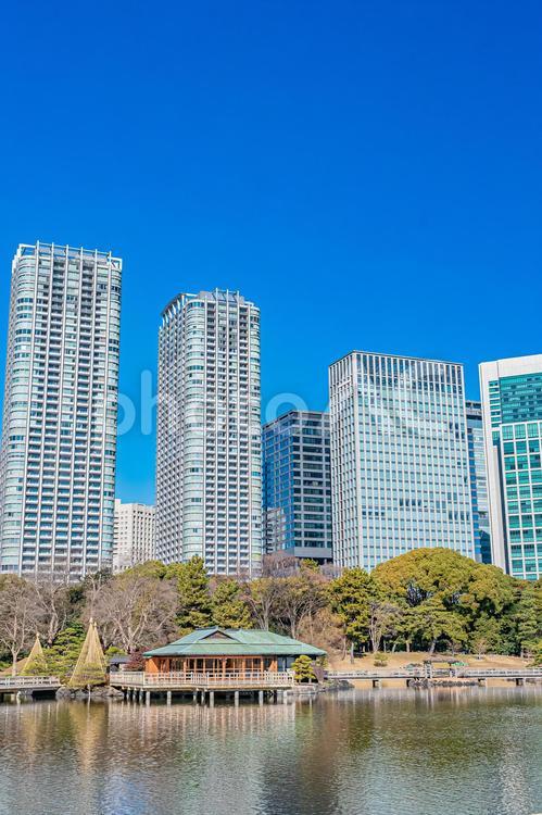 東京　浜離宮恩賜庭園の風景 東京,東京都,浜離宮恩賜庭園の写真素材