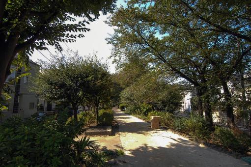 玉川上水第二公園の水飲み場 玉川上水第二公園の水飲み場 玉川上水第二公園,水飲み場,木々の写真素材