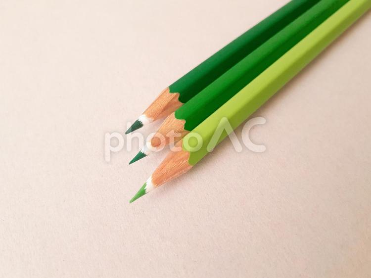 画用紙の上の緑系の色鉛筆 色鉛筆,緑,黄緑の写真素材