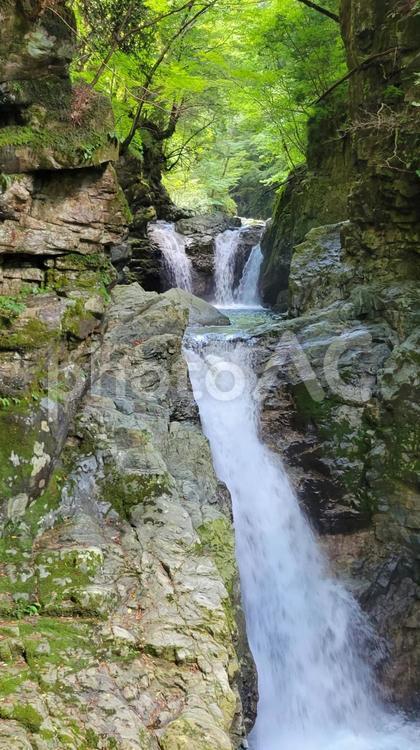 夏の滝の風景 自然,川のせせらぎ,滝の写真素材