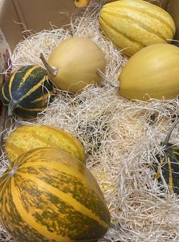 ハロウィンカボチャ ハロウィンパンプキン ハロウィンカボチャ ハロウィンパンプキン カボチャ,パンプキン,野菜の写真素材