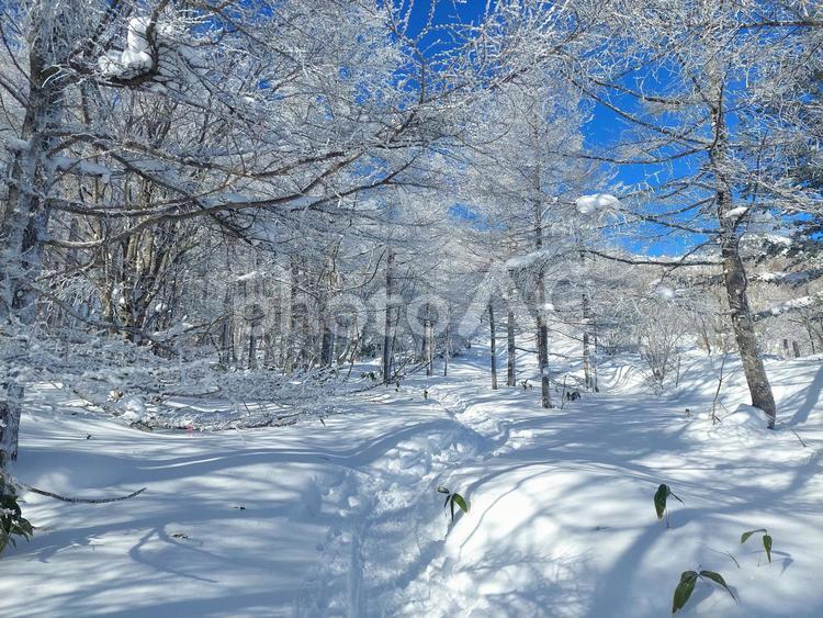 気持ちのいい雪山ハイク 冬景色,雪景色,雪山の写真素材