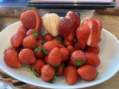 沢山の苺 苺,いちご,イチゴの写真素材