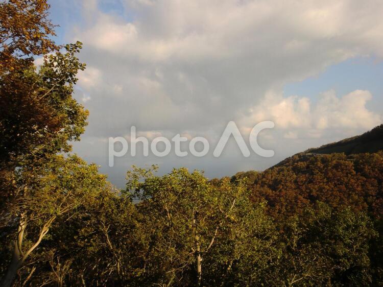 20121027知床カムイワッカ湯の滝への道16 北海道,知床,秋の写真素材