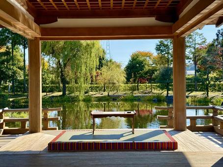 秋の昼間の紫式部公園　11月　紅葉 11月,昼間,カラフルの写真素材