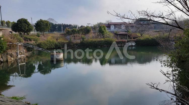 午後の公園の池 午後,公園,池の写真素材