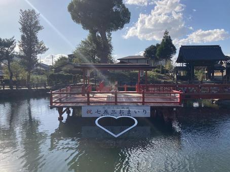 水田天満宮・恋木神社・七五三 水田天満宮,恋木神社,福岡県筑後市の写真素材