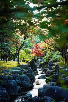 紅葉 公園の写真