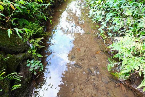 小川 小川の写真