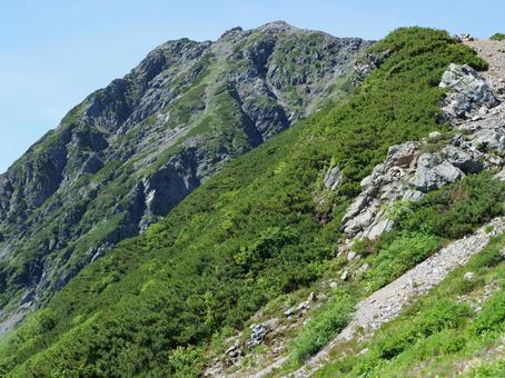 草すべりから望む北岳 草すべり,北岳,小太郎山の写真素材