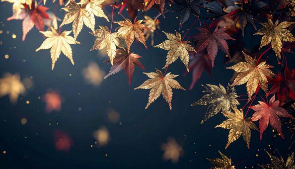 金色の紅葉と幻想的な暗い背景 金色の紅葉と幻想的な暗い背景の写真