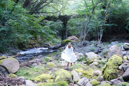 森林浴 森林浴,森,ネイチャーの写真素材