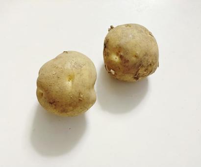 じゃがいも じゃがいも じゃがいも,野菜,おいしいの写真素材