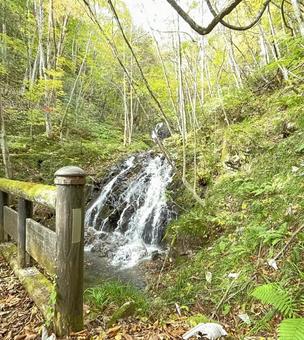 自然の中の川 自然の中の川の写真