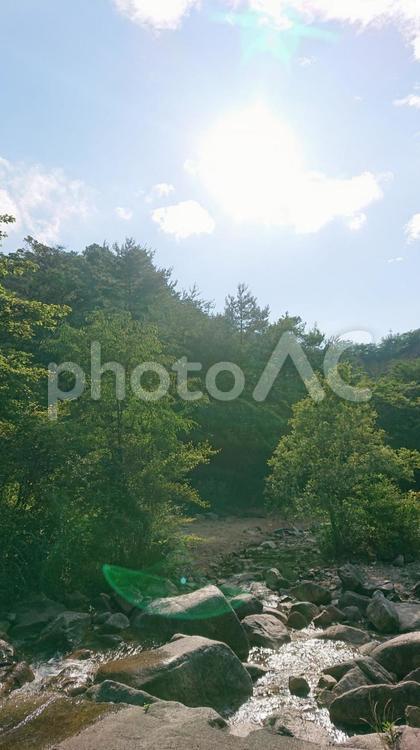 空と山と川 森,山,山林の写真素材