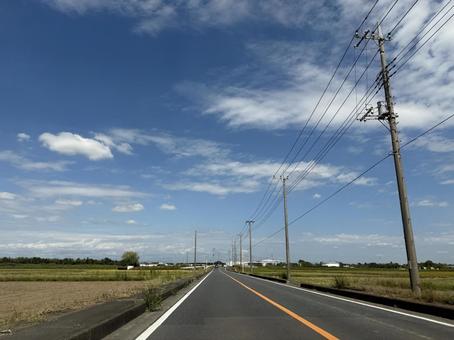 一本道と電線 一本道と電線 道,道路,旅の写真素材