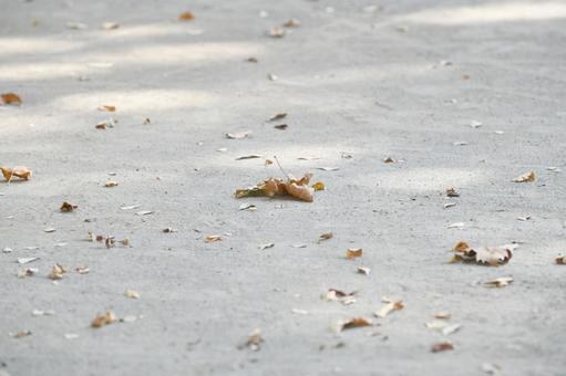 公園の地面に落ちた落葉樹の枯れ葉 公園の地面に落ちた落葉樹の枯れ葉 公園,落ち葉,落葉の写真素材