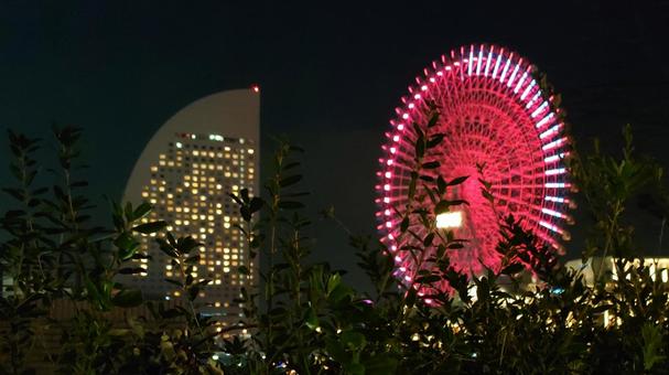 横浜の夜景 横浜の夜景の写真