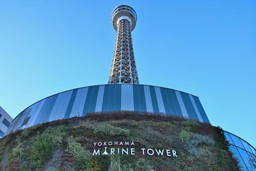 横浜マリンタワー 02 横浜,マリンタワー,山下公園の写真素材