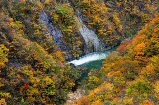 鳴子ダムの紅葉⒅ 秋,紅葉,山の写真素材
