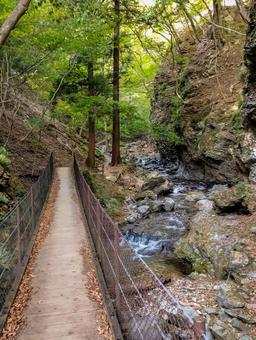 清流の源流へ進む ハイキング,トレッキング,山道の写真素材