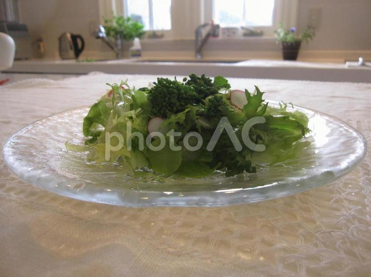 彩り野菜のフレッシュなひと皿サラダ サラダ,野菜,食材の写真素材