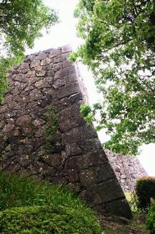 石垣と新緑 石垣と新緑 石垣,城,姫路城の写真素材
