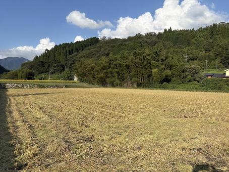 稲刈した後の田んぼ 稲刈した後の田んぼの写真