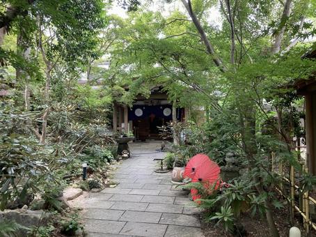 隠れ家 隠れ家 かえる寺,如意輪寺,夏の写真素材